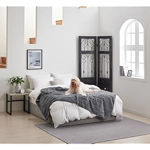   MONSTERA-Waterproof-Throw-Blanket-for-Adults-Pets-Calming-Soft-Faux-Fur-Cover-for-Beds-Couches-Sofas-Washable-Furniture-Protector-for-Dogs-and-Cats-Grey-50-x-60