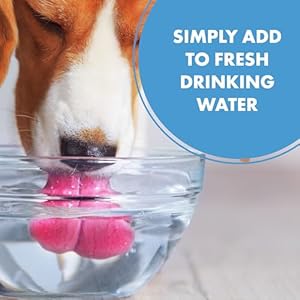 PetSilver-Teeth-Gum-Water-Additive-Dental-Care-for-Pets-with-Patented-Chelated-Silver-Natural-Dog-Breath-Freshener-Targets-Tartar-Plaque-No-Brushing-Cat-and-Dog-Teeth-Cleaning-12-fl-oz - Cucciolini Doodles PetSilver-Teeth-Gum-Water-Additive-Dental-Care-for-Pets-with-Patented-Chelated-Silver-Natural-Dog-Breath-Freshener-Targets-Tartar-Plaque-No-Brushing-Cat-and-Dog-Teeth-Cleaning-12-fl-oz