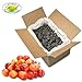 Sunrise Fresh Dried Fruit Company Unsweetened, No Sugar Added Dried Rainier Cherries, 5lb Bulk Box with Resealable Bag