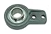 Peer Bearing FHSFBT205-16 Cast Iron 2 Bolt Flange Bracket Unit, Narrow Inner Ring, Non-Relubricable, Set Screw Locking Collar, Single Lip Seals, 1" Bore, 3-57/64" Bolt Center