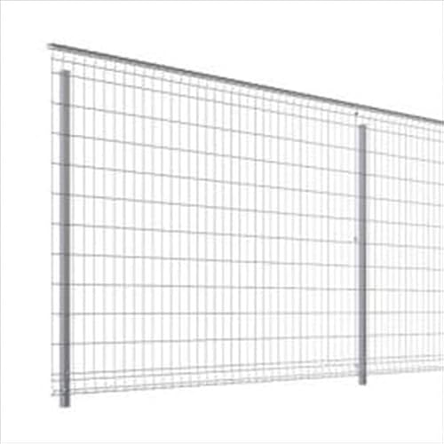 OA~ bVZ^ tFX{ 2006 t[x^Cv wX`[tFX   H600px ubN