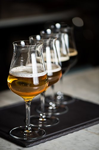 Luigi Bormioli Birrateque Craft Beer Glasses Tester (Set Of 2), 14.25 Oz, Clear #TOP5