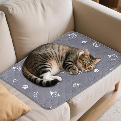 ybgpV[g - pgCV[g pybg}bg - z ~ Ci[ ی gCg[jOp P[W N[g gC{bNX  L tFbg nX^[ ETMp