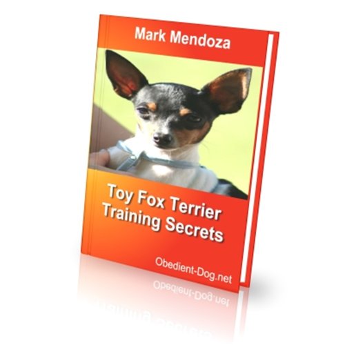 Do Toy Fox Terriers Bark A Lot