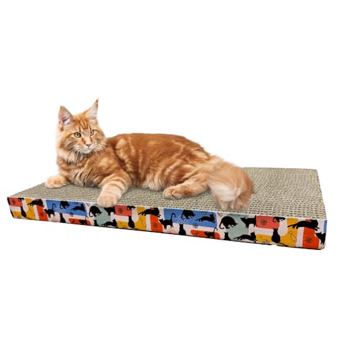 Consejos y comparativas para Comprar Gato los 7 más buscados. 5