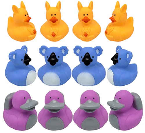 Cool Rubber Ducks (2