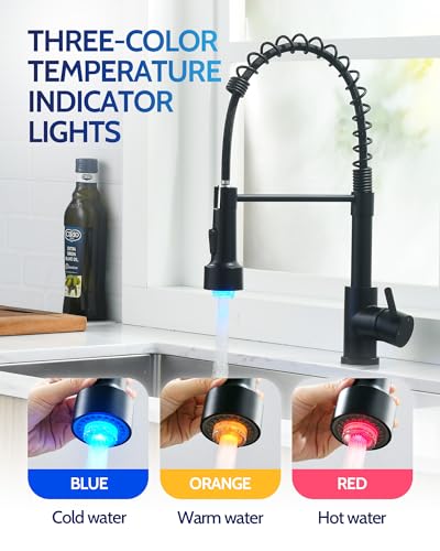 Smart Faucet Water Temperature Display