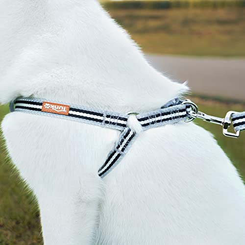 No Pull Dog Harness With Adjustable Reflective Safety Nylon Step In Small Medium Large Puppy Vest Outdoor Easy Walking（Silver，Xl） #TOP2