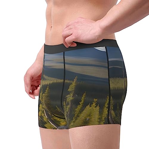 Ocean Fishes Print Men's Boxer Briefs,Luxury Underwear Trunks,Athletic Underwear - Ideal for Daily Athletic4