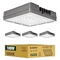 Goldinfu 100W LED Canopy Lights 4Pack, 5000K 15000LM, IP65 Waterproof, Commercial LED Canopy Lights Outdoor for Gas Station, Carport, Parking Garage, Warehouse, 100-277VAC, ETL Listed