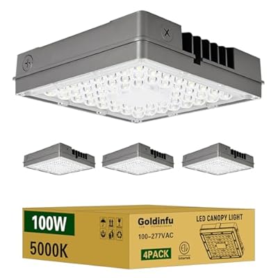 Goldinfu 100W LED Canopy Lights 4Pack, 5000K 15000LM, IP65 Waterproof, Commercial LED Canopy Lights Outdoor for Gas Station, Carport, Parking Garage, Warehouse, 100-277VAC, ETL Listed