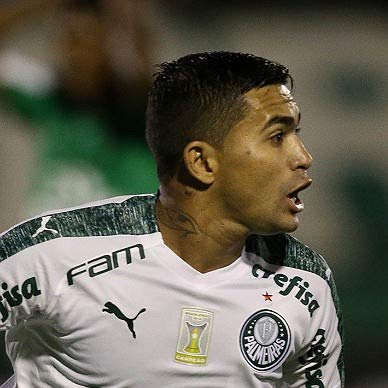 Palmeiras - T&aacute; na Rede #182: Dudu come&ccedil;a devagar e depois pega no tranco? Checamos! copertina