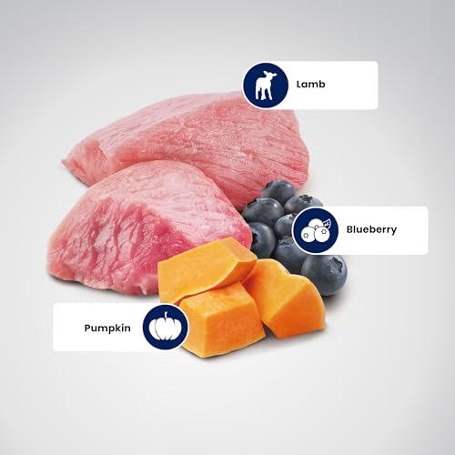 Farmina N & D Grain Free Puppy Mini agnello,Zucca e Mirtillo gr.800 Kürbisformel