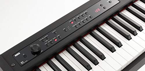 Korg B1SP Digital Piano : Key Feature and In-Depth Review 51 Korg D1 88-Key Stage Piano Controller #1
