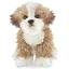 Murphy Maltipoo 13