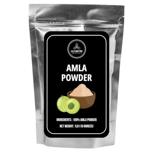 Naturevibe Botanicals Amla Berry Powder (1lb) Premium Gluten-Free, Raw & Non-GMO (16 Ounces)