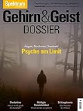 Gehirn&Geist Dossier - Psyche am Limit: Ängste, Psychosen, Traumata