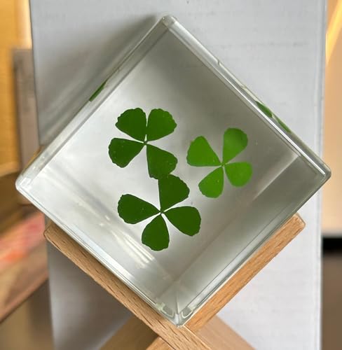 Image of 2 inch Real Three Four Leaf Clovers Shamrock in Crystal Clear Lucite Resin Cube Specimen St.Patrick's Day inchLucky Leaf inch Gift Crafts Collection Botany Science Education Desk Ornament Display Paperweight