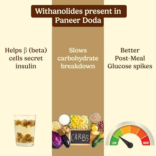 Image of Homeda Paneer Phool for Diabetes, Paneer Doda (350 grams) Panir Ke Dodi - Withania coagulans | Indian Rennet - No Preservatives