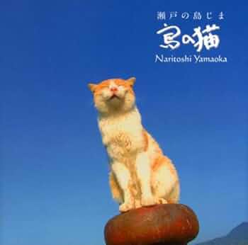 瀬戸の島じま 島の猫 瀬戸の島じま 島の猫 | 山岡成俊 |本 | 通販 | Amazon