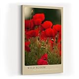 Fleurs rouges pleines d'énergie : un motif naturel expressif au caractère durable pour les espaces vivants