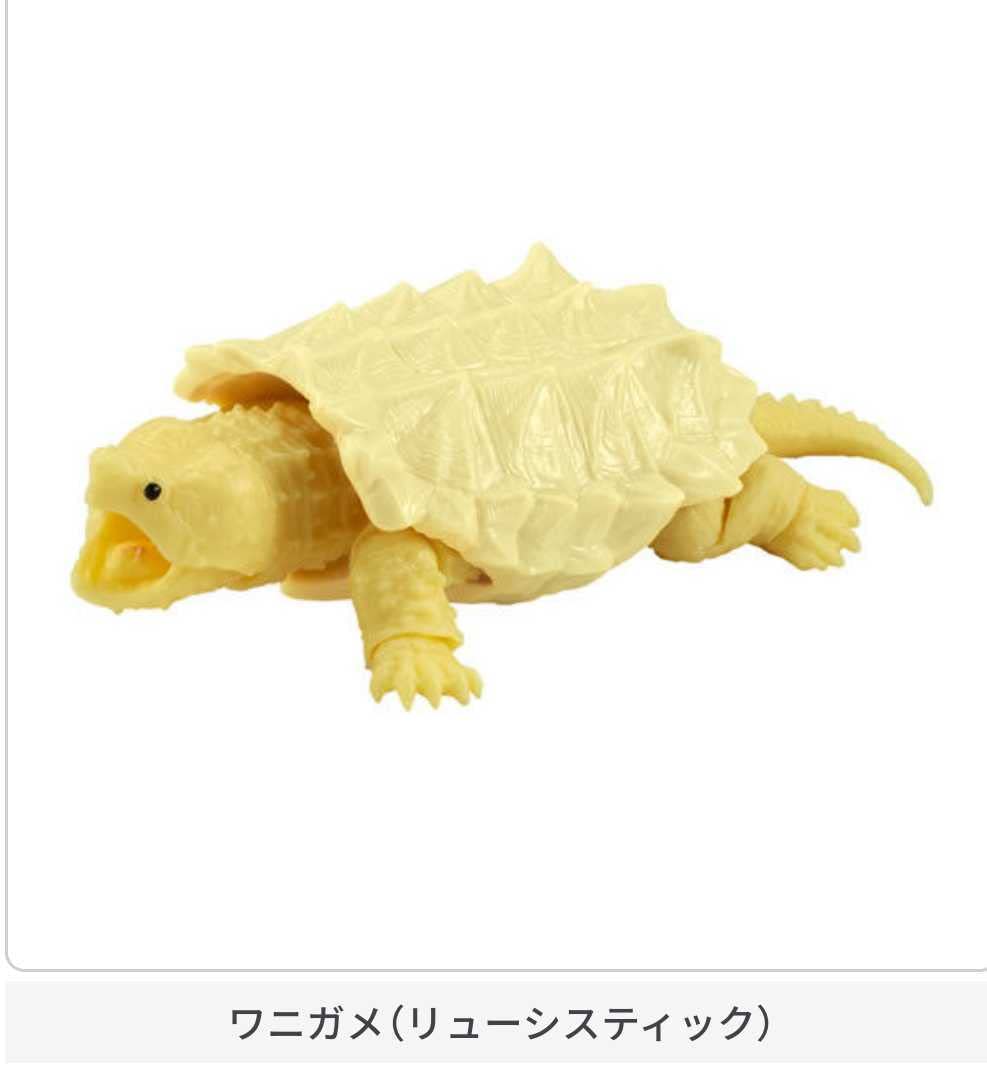 Amazon.co.jp: いきもの大図鑑 かめ わにがめ01 全3種 ワニガメ黒