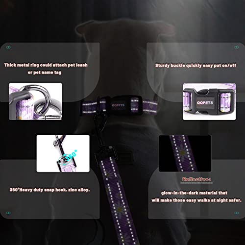 Reflective Dog Collar Leash Combo: Puppy Small Medium Large Adjustable Cute Matching Collar Set For Pet Girl/Boy Comfy Easy Walk Running Outdoor Hiking (Xs Small, Purple) #TOP1