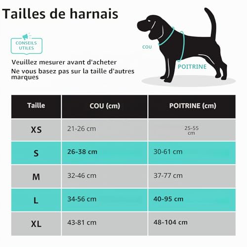 PoyPet Harnais pour chien - Gilet réfléchissant pour chien avec contrôle facile - Poignée et dos parfaits pour l'entraînement quotidien, la marche, la course (noir, M) – vue 2