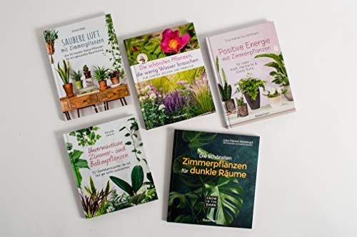 Die schönsten Pflanzen, die wenig Wasser brauchen für Garten, Balkon und Terrasse - 66 trockenheitsverträgliche Stauden, Sträucher, Gräser und Blumen, die heiße Sommer garantiert überleben - 8