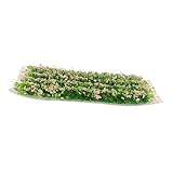 Blumenvegetationslandschaft: miniaturgras hat eine helle farbe und ein exquisites aussehen, was eine sehr dekoration darstellt.
