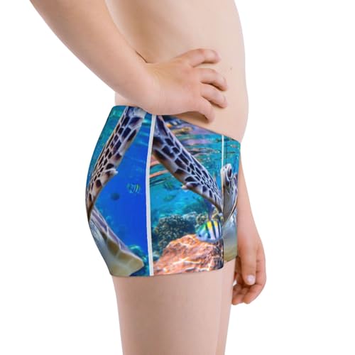 Boys' Cotton Boxer Brief Soft Underwear-Sea Turtle Swims2