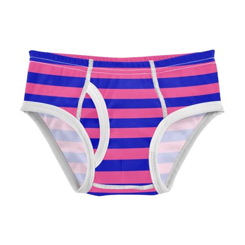 Dark Pink Navy Stripe Toddler Boy's Underwear 2T