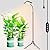 Grocruiser Grow Light with Stand, 200W Full Spectrum Floor Grow Light, Plant Lights for Indoor Growing with Adjustable Tripod Stand 12-48 Inch, Small Grow Lamp with On/Off Switch Daisy Chain Function
