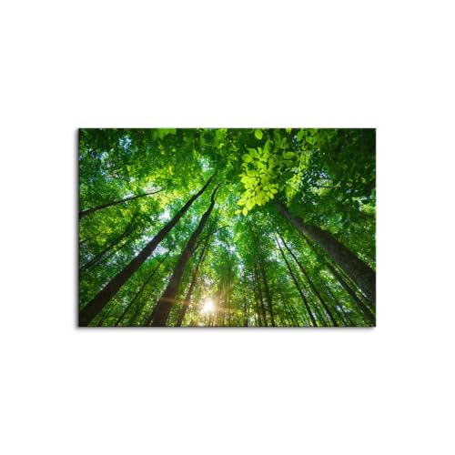 �g�t �� �G�� ���R ���i �|�X�^�[ �H�F �� �R ���� ���i�� �A�[�g�p�l�� �Ǌ|�� �Ǐ��� ������ ���_�� ���� ���� �J�^ ���_�� �L�����o�X�G�� �������� �ؘg�t����? (40x60cm�i16x24in�j,A)