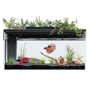 Betta Fish Tank self Cleaning, 4 Gallon Aquarium kit Smart Aquarium, Small Fish Tank with Filter Light Water Pump, Fish Tank Starter Kits Fish Bowl