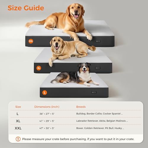 5 Inch Thick Orthopedic Dog Bed - image 9
