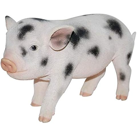 Vivid Arts Pet Pals Pink and White with Spots Micro Pig Home or Garden Decoration | PP-MP03-D Cover