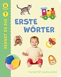 Fischer Sauerländer