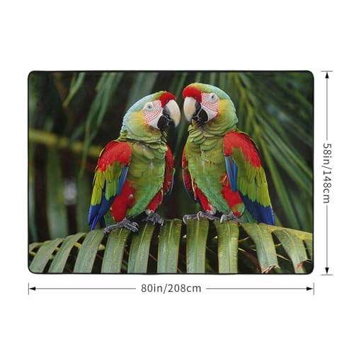 Grand tapis imprimé palmier vert tapis de salon chic 203 cm