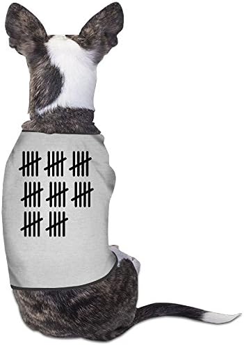 DOGGIE 40th Birthday Birthday Bday Gift Present Dog Sweater Puppy Warm T-shirt Misc.