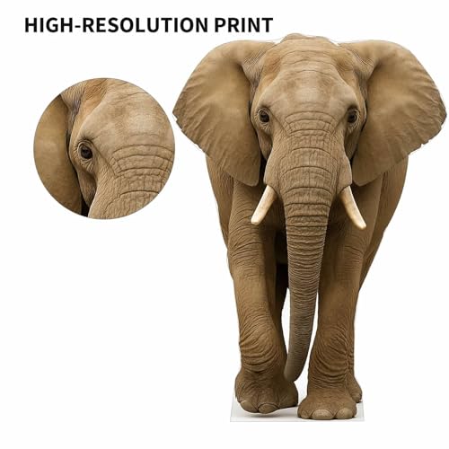 Image of Elephant 2FT Life Size Cardboard Cutout - A Fun Animal Standup for Photo Booths, Birthday Parties, and Events