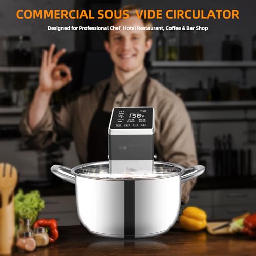 WiFi Sous Vide Stick Immersion Circulator