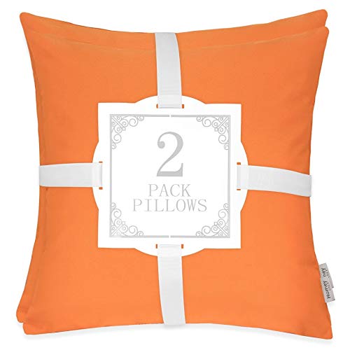 Homey COZY Set of 2 Outdoor Throw Pillow Covers Classic Large Pillow Decorative for Patio Lawn Couch Sofa Lounge Square 20"