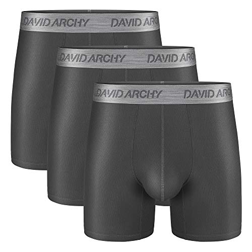DAVID ARCHY Men's 3 Pack Luxury Micro Modal Underwear Breathable Ultra Soft Comfort