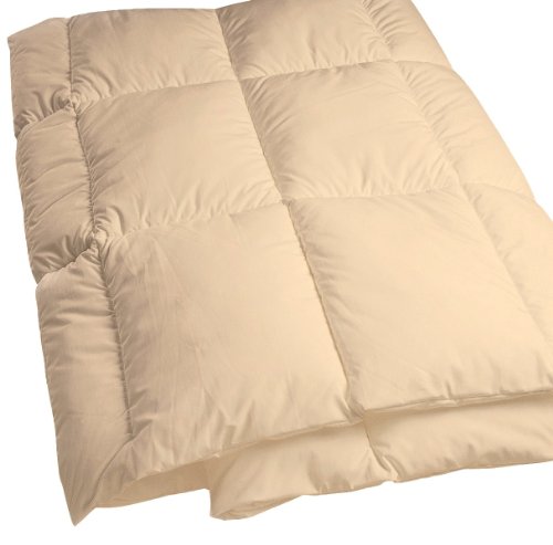 Mission: Allergy Dust Mite- and Allergen-Proof Comforter; “DreamFill/Premium Microfiber” (Queen; 'Natural' Cream Color)