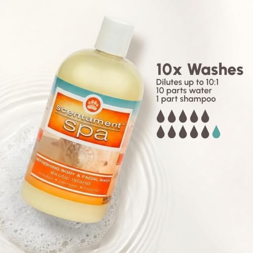 Image of Best Shot Scentament Spa Seasonal Facial & Body Wash, Exotic Island, 16 oz