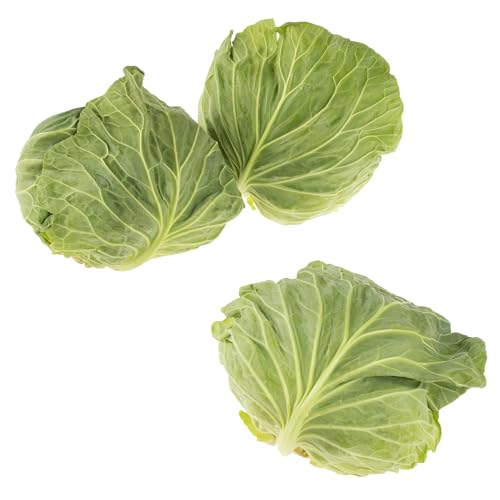 [①] Ɩp Y Lxc 1 10.0kg