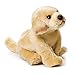 Nat and Jules Yellow Labrador Plush Toy, Small