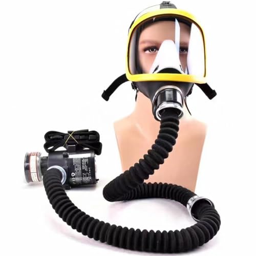 Système respiratoire adduction d'air électrique débit constant avec masque tuyau d'air ondulé filtration haute efficacité Idéal pour Poussière peinture soudage et la manipulation produits chimiques