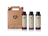 ecoLove Natural Shampoo, Conditioner and Body Wash Set (Pack of 3) with Organic Blueberry, Grape and Lavender Extract for Color Treated Hair Dry Damaged Hair and Dry Skin Vegan SLS Free (3 x 17.6 oz)